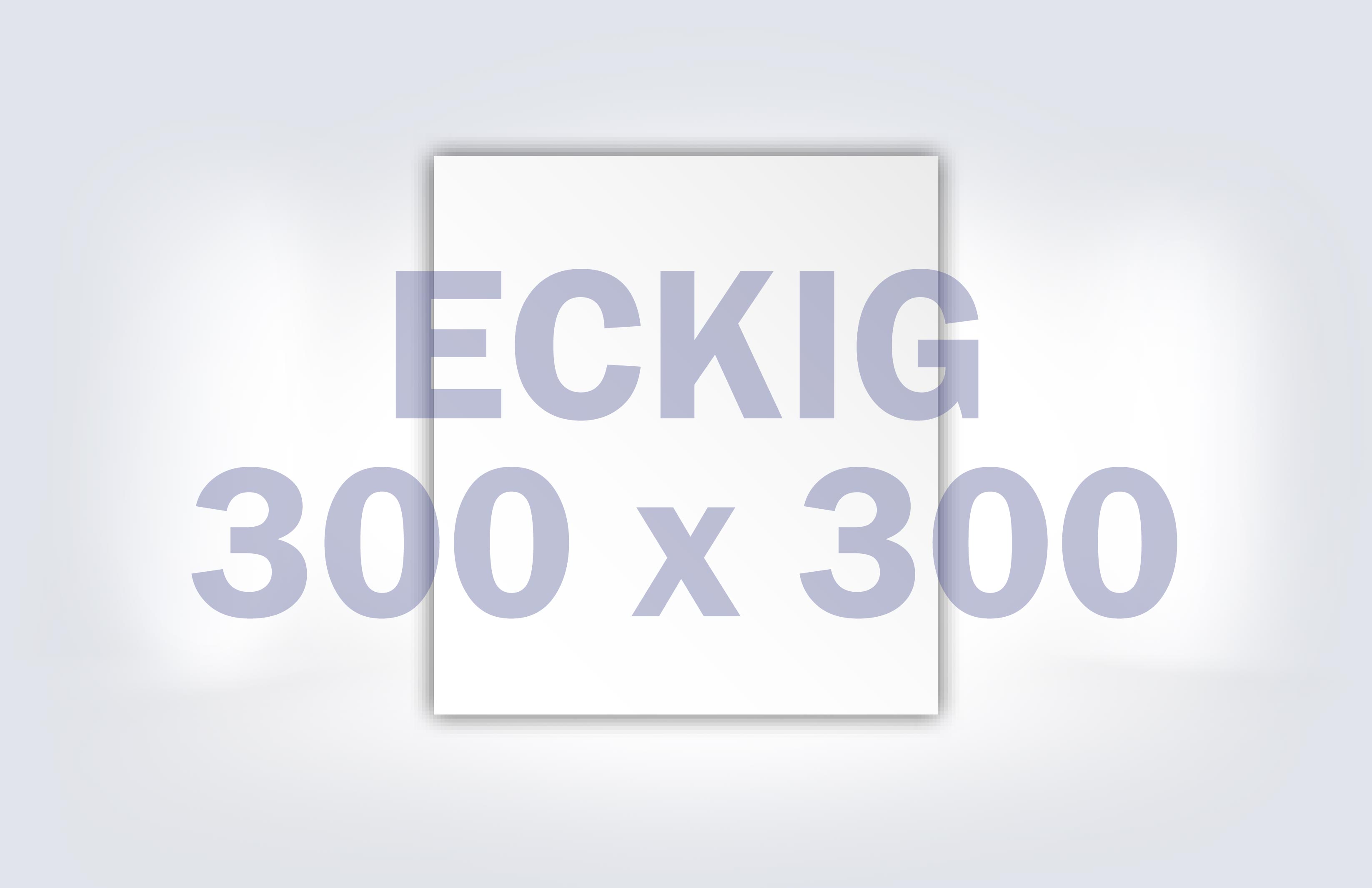 Anschhluss-eckig-300x300